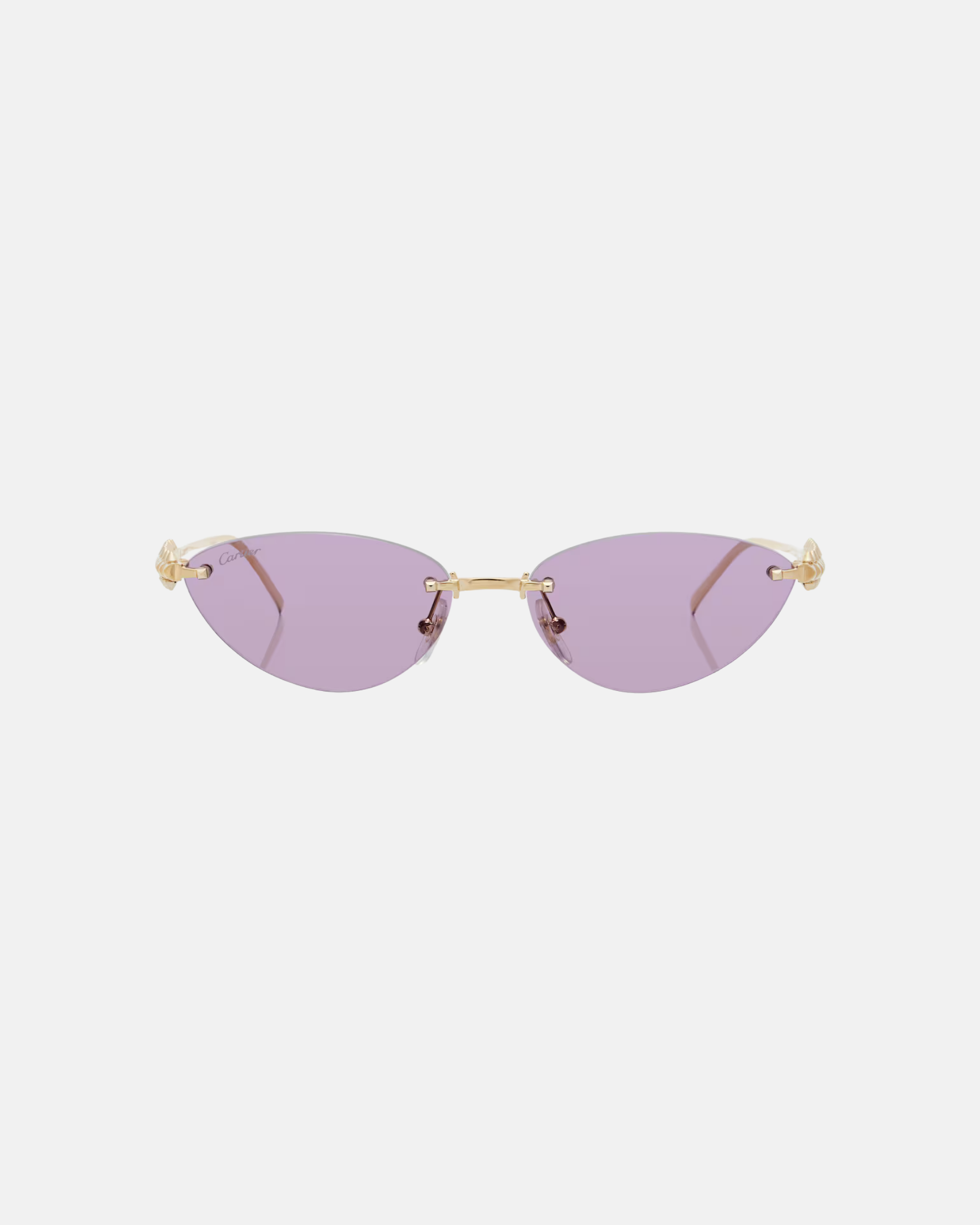 Clash De Cartier Cat-Eye Sunglasses