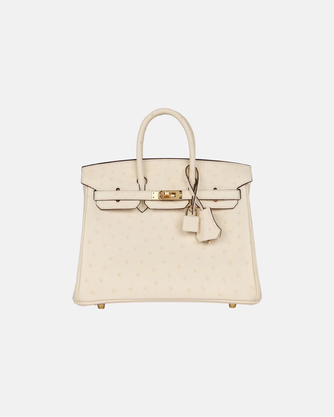 Birkin 25 Ostrich Nata Boreal
