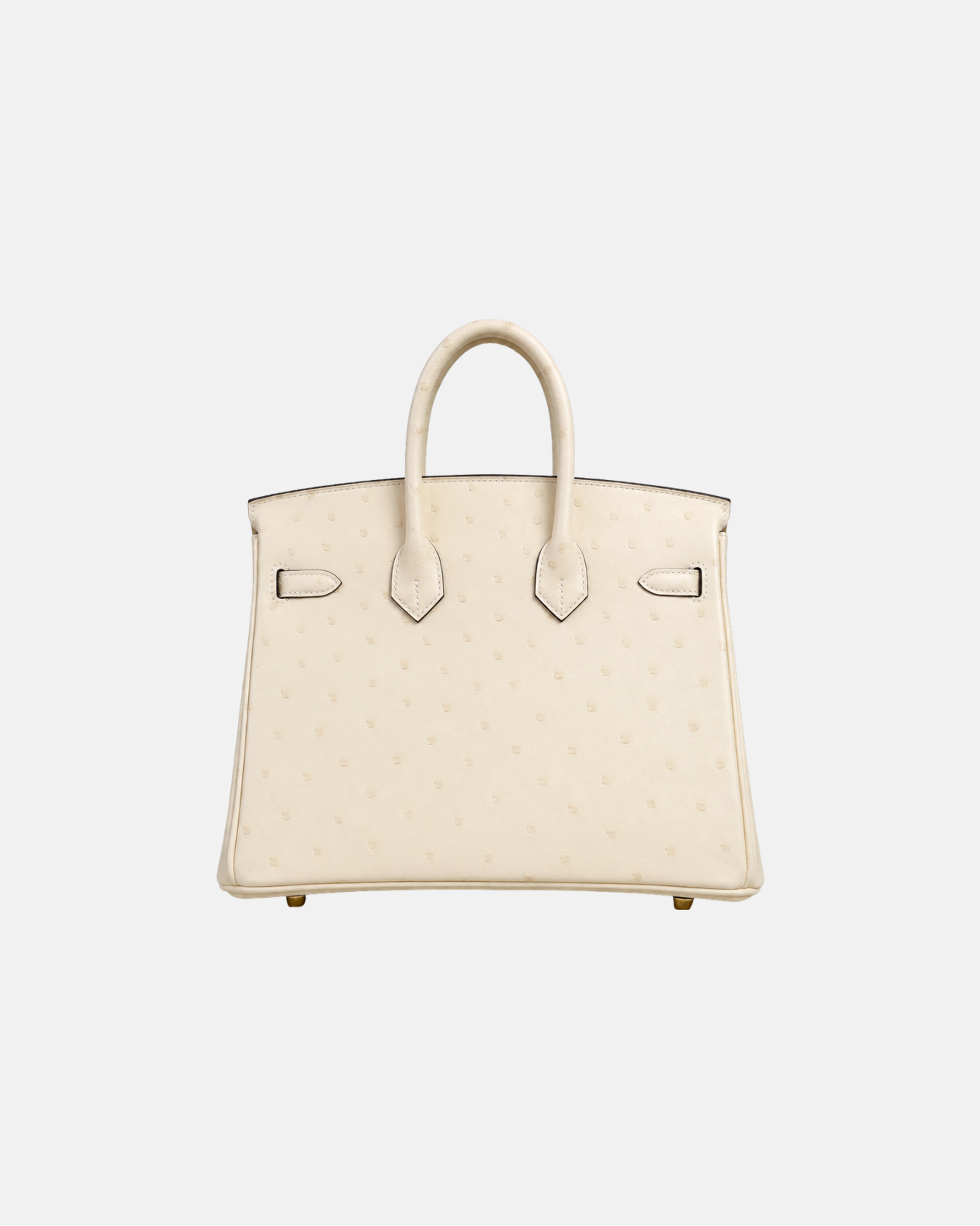 Birkin 25 Ostrich Nata Boreal