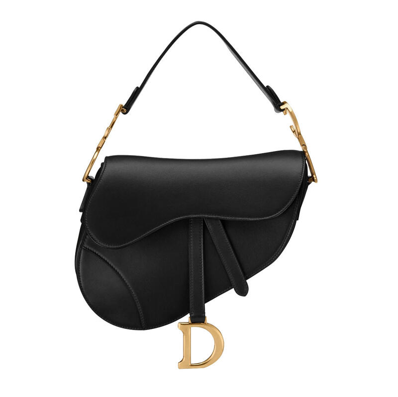 Dior Saddle Leather bag