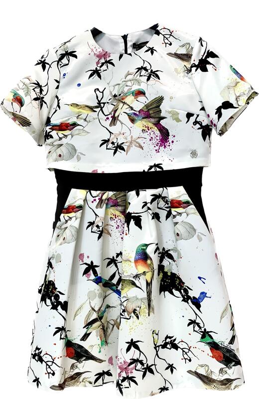 Roberto Cavalli Bird Print Dress