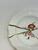 Seletti Floral Print Bowl