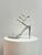 René Caovilla Patent Calfskin Lace-Up Sandals In Silver