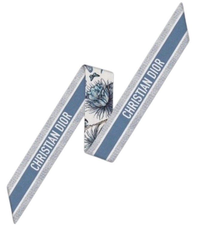 Dior Toile de Jouy Sauvage Mitzah Silk Scarf in Navy Blue